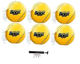 3019.1-PK6 A-L WHOLESALE COMPANY Tetherball Pack Pump