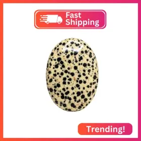 45-WGQB-RR1M AMAZING GEMSTONE Dalmatian Jasper Crystals Palm
