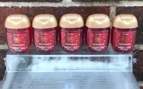 028022041 BATH BODY WORKS Fttis Season Pocketbac Sanitizers