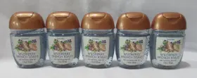 200198002865 BATH BODY WORKS Pocketbac Gel Set Wildberry