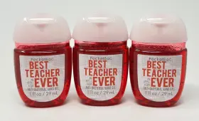 667538456565 BATH BODY WORKS Teacher Ever Apple Pocketbac Gel