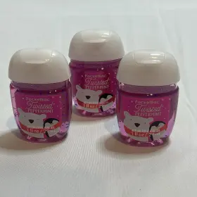 667539444738 BATH BODY WORKS Winter Twisted Peppermint Anti