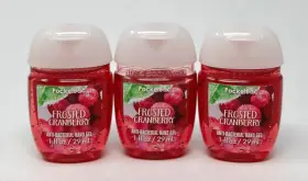 667539721525 BATH BODY WORKS Frosted Cranberry Pocketbac Anti