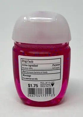 667541731123 BATH BODY WORKS Girls Want Sus Pocketbac Anti #3