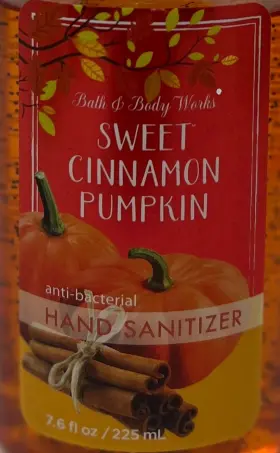 667541983447 BATH BODY WORKS Sweet Cinnamon Pumpkin Anti Pump #3
