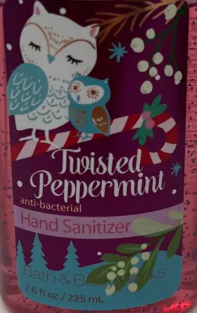 667542546528 BATH BODY WORKS Twisted Peppermint Anti Pump #2