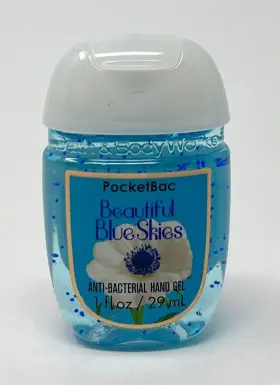 667543410248 BATH BODY WORKS Skies Pocketbac Anti Bacterial #2