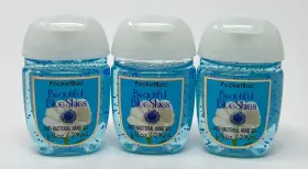 667543410248 BATH BODY WORKS Skies Pocketbac Anti Bacterial