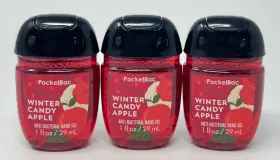 667543411313 BATH BODY WORKS Winter Candy Apple Pocketbac Gel