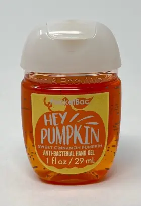 667544692049 BATH BODY WORKS Hey Pumpkin Sweet Cinnamon Anti #2
