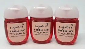 Bath & Body Works 667545146060 3 Mama Japanese Cherry Blossom Pocketbac Anti Bacterial Hand Gel