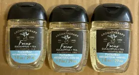 667548012393 BATH BODY WORKS Pack Eucalyptus Tea Pocketbac