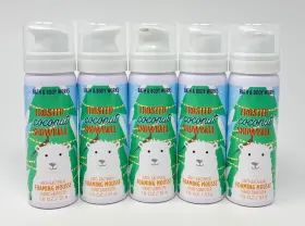 667548420938 BATH BODY WORKS Frosted Coconut Snowball Foaming