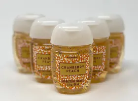 667551439095 BATH BODY WORKS Cranberry Peach Pocketbac Anti