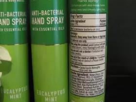 667553872371 BATH BODY WORKS Eucalyptus Anti Bac Spray #2