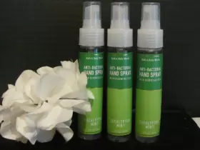 667553872371 BATH BODY WORKS Eucalyptus Anti Bac Spray