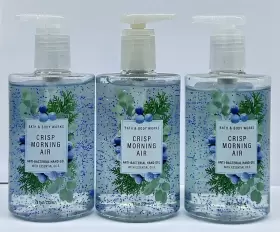 667554067073 BATH BODY WORKS Crisp Morning Air Sanitizer #2