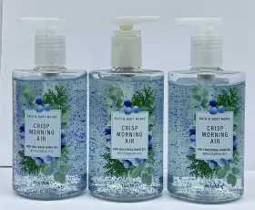 667554067073 BATH BODY WORKS Crisp Morning Air Sanitizer