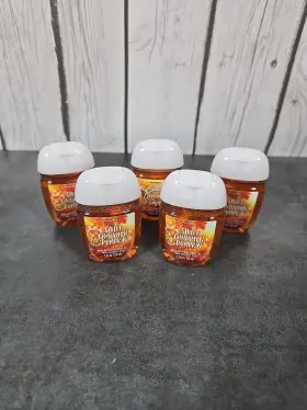 667554125117 BATH BODY WORKS Sweet Cinnamon Pumpkin Pocketbac