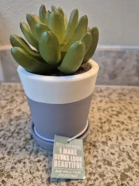 667554372399 BATH BODY WORKS Desks Succulent Pocketbac Holder
