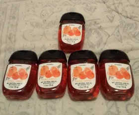 667554404533 BATH BODY WORKS Pocketbac Anti Bacterial Gel