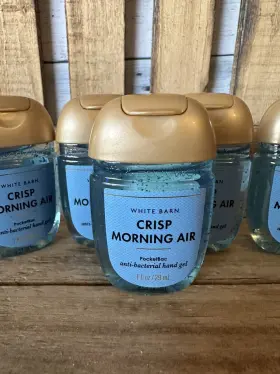 667554943407 BATH BODY WORKS Crisp Morning Air Pocketbac Gel #2