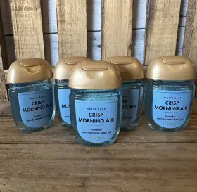 667554943407 BATH BODY WORKS Crisp Morning Air Pocketbac Gel #3
