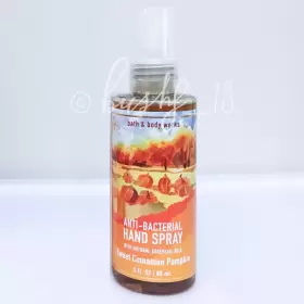 667555059794 BATH BODY WORKS Sweet Cinnamon Pumpkin Anti Fall