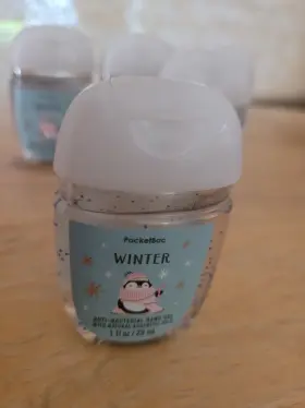 667555500036 BATH BODY WORKS Winter Pocketbac Sanitizer #2