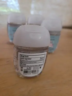 667555500036 BATH BODY WORKS Winter Pocketbac Sanitizer #3