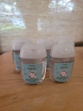 667555500036 BATH BODY WORKS Winter Pocketbac Sanitizer