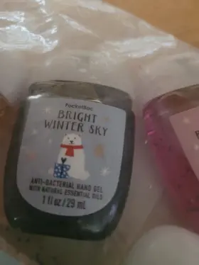 667555889902 BATH BODY WORKS Christmas Winter Pocketbac Chai #3