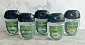 667555967983 BATH BODY WORKS Eucalyptus Spearmint Pocketbac