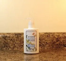 667556376739 BATH BODY WORKS Anti Bacterial Moisturizing Pump
