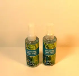 667556688894 BATH BODY WORKS Anti Bacterial Spray Endless #2