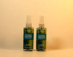 667556688894 BATH BODY WORKS Anti Bacterial Spray Endless