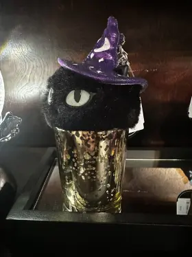 667557018546 BATH BODY WORKS Witch Cat Halloween Pocketbac #2