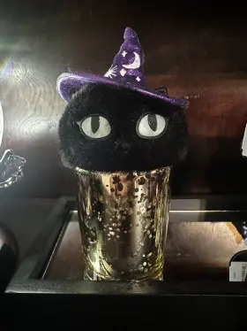 667557018546 BATH BODY WORKS Witch Cat Halloween Pocketbac