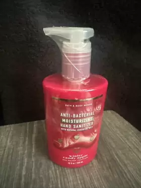 667557440736 BATH BODY WORKS Moisturizing Sanitizer Winter