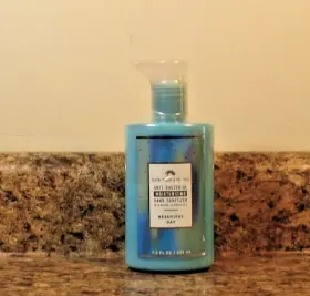 667557967387 BATH BODY WORKS Anti Bacterial Sanitizer Pump