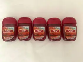 667558686287 BATH BODY WORKS Pumpkin Apple Pocketbac