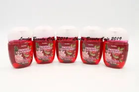 667558746585 BATH BODY WORKS Frosted Cranberry Pocketbac Gel