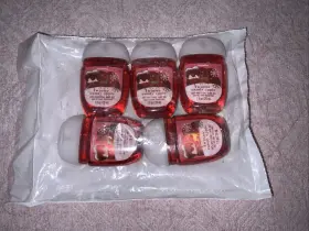 667558757062 BATH BODY WORKS Winter Candy Apple Pocketbac