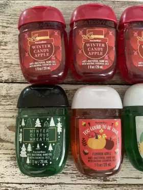 667558788059 BATH BODY WORKS Holiday Pocketbac Sanitizers #2