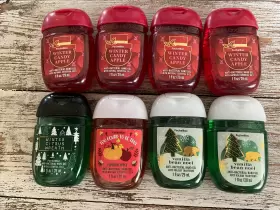 667558788059 BATH BODY WORKS Holiday Pocketbac Sanitizers