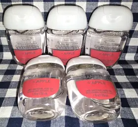 667559002529 BATH BODY WORKS Cranberry Apple Pocketbac