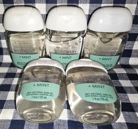 667559002567 BATH BODY WORKS Rosemary Pocketbac Sanitizers