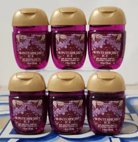 667559045908 BATH BODY WORKS Winterberry Pocketbac Refills