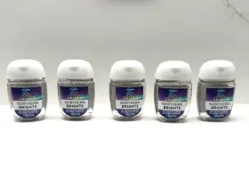 667559046158 BATH BODY WORKS Aroma Northern Brights Sanitizer
