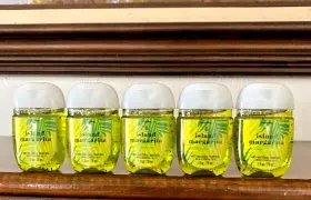 667559262961 BATH BODY WORKS Island Margarita Pocketbac
